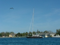 Chub Cay to Staniel Cay 147.jpg